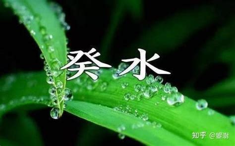 癸水 壬水|壬癸水的基本区别